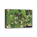 Garden of the Phoenix  Mini Canvas 6  x 4  (Stretched) View1