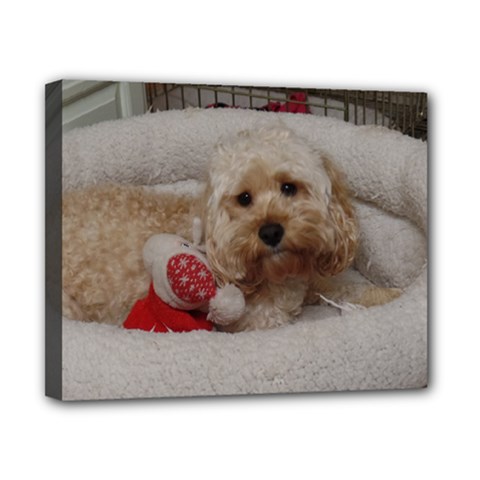 Cockapoo In Dog s Bed Canvas 10  X 8  (stretched) by pauchesstore