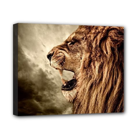 Roaring Lion Canvas 10  X 8  (stretched) by Sudhe