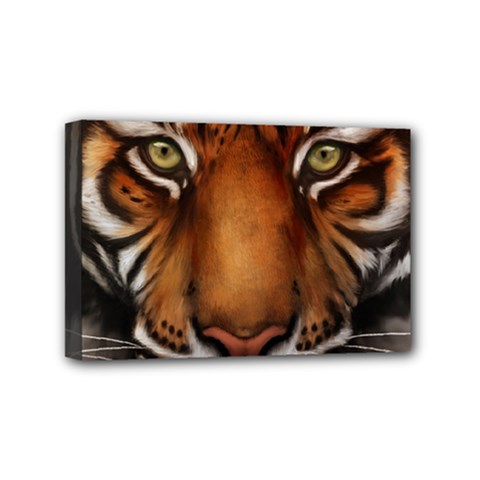 The Tiger Face Mini Canvas 6  X 4  (stretched) by Sudhe