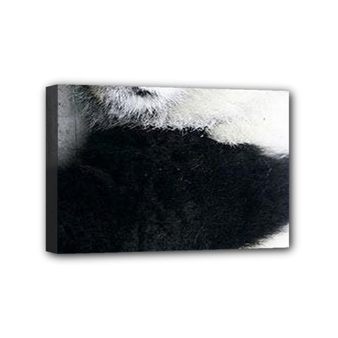 Panda Bear Sleeping Mini Canvas 6  X 4  (stretched) by Sudhe