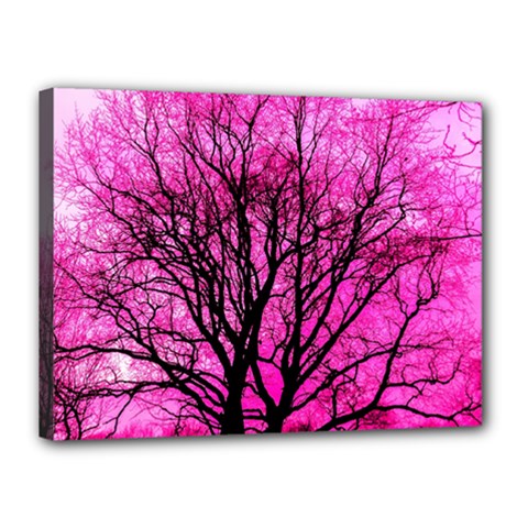 Pink Silhouette Tree Canvas 16  X 12  (stretched) by Sudhe