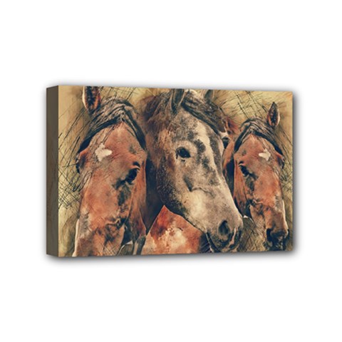 Head Horse Animal Vintage Mini Canvas 6  X 4  (stretched) by Sudhe