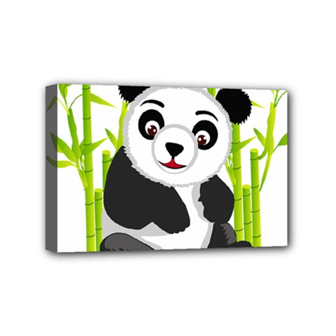 Giant Panda Bear Mini Canvas 6  X 4  (stretched) by Sudhe
