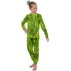 Agricultural Field   Kids  Long Sleeve Set  by rsooll