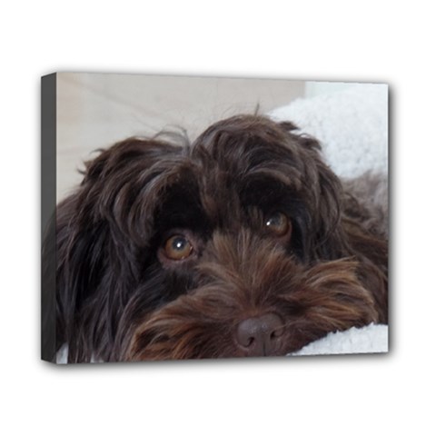 Laying In Dog Bed Canvas 10  X 8  (stretched) by pauchesstore