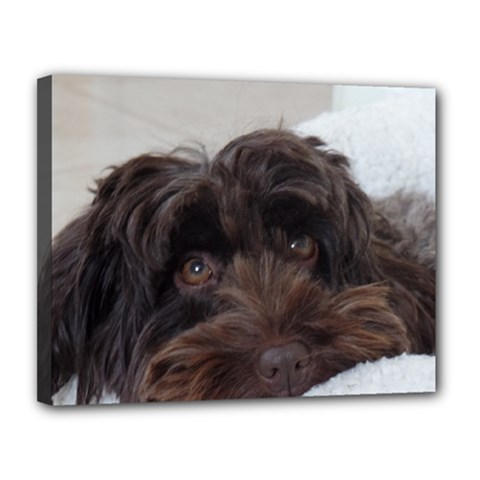 Laying In Dog Bed Canvas 14  X 11  (stretched) by pauchesstore