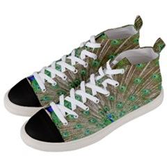 Peacock Color Bird Colorful Men s Mid-top Canvas Sneakers by Pakrebo