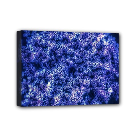 Queen Annes Lace In Blue Mini Canvas 7  X 5  (stretched) by okhismakingart