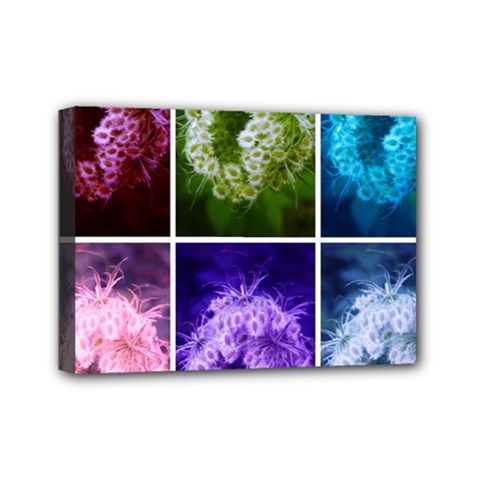 Closing Queen Annes Lace Collage (horizontal) Mini Canvas 7  X 5  (stretched) by okhismakingart