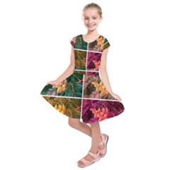 Sideways Sumac Collage Kids  Short Sleeve Dress by okhismakingart