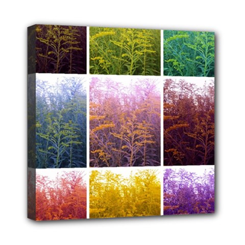 Goldenrod Collage Mini Canvas 8  X 8  (stretched) by okhismakingart