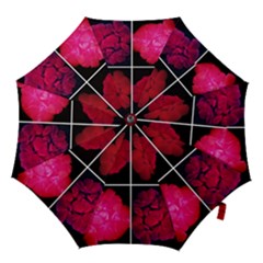 Geranium Collage Hook Handle Umbrellas (medium) by okhismakingart