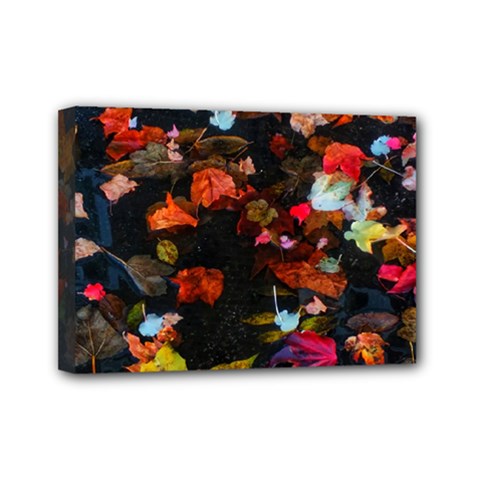 Leaves And Puddle Mini Canvas 7  X 5  (stretched) by okhismakingart