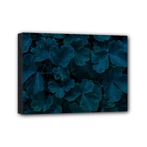 Columbine Leaves Mini Canvas 7  X 5  (stretched) by okhismakingart