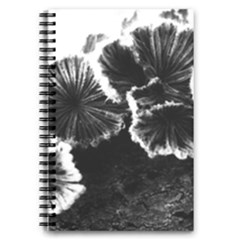 Tree Fungus High Contrast 5 5  X 8 5  Notebook by okhismakingart