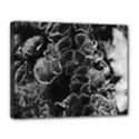 Tree Fungus Branch Vertical High Contrast Canvas 14  x 11  (Stretched) View1