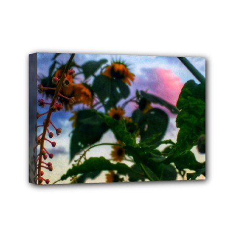 Sunflowers And Wild Weeds Mini Canvas 7  X 5  (stretched) by okhismakingart
