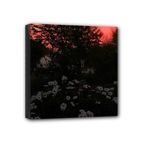 Daisies And Pink Mini Canvas 4  X 4  (stretched) by okhismakingart