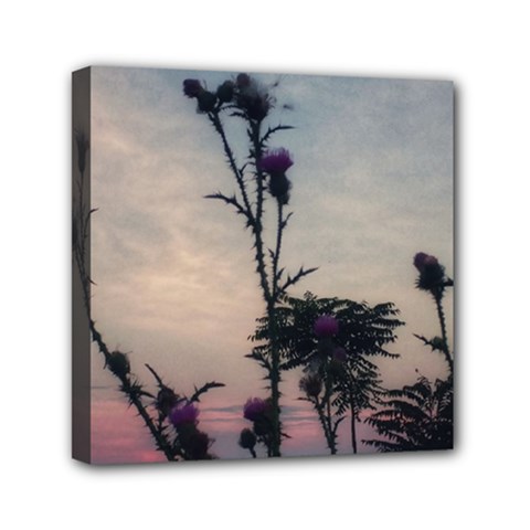 Hazy Thistles Mini Canvas 6  X 6  (stretched) by okhismakingart