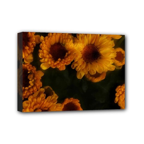Yellow Flowers Mini Canvas 7  X 5  (stretched) by okhismakingart