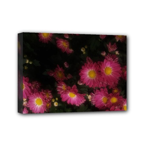 Purple Flowers With Yellow Centers Mini Canvas 7  X 5  (stretched) by okhismakingart