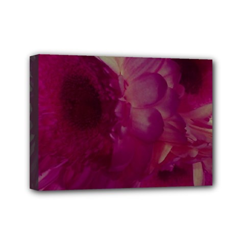 Pink Highlighted Flowers Mini Canvas 7  X 5  (stretched) by okhismakingart