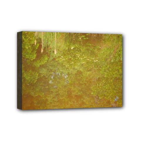 Lake Reflection Mini Canvas 7  X 5  (stretched) by okhismakingart