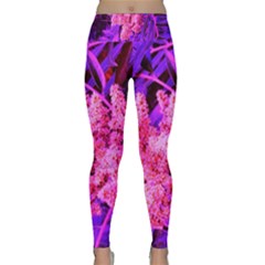 Pink And Blue Sideways Sumac Lightweight Velour Classic Yoga Leggings by okhismakingart