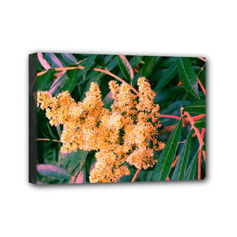 Green And Gold Sideways Sumac Mini Canvas 7  X 5  (stretched) by okhismakingart
