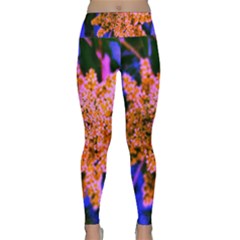 Yellow, Pink, And Blue Sumac Bloom Lightweight Velour Classic Yoga Leggings by okhismakingart