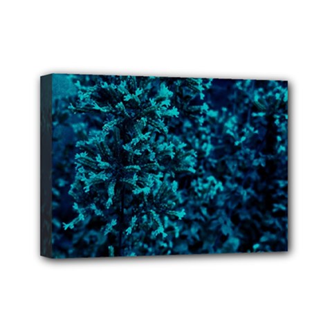 Sidewalk Flower Mini Canvas 7  X 5  (stretched) by okhismakingart
