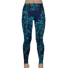 Sidewalk Flower Lightweight Velour Classic Yoga Leggings by okhismakingart
