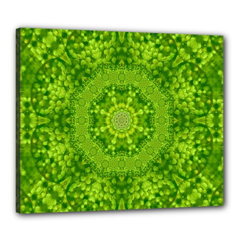 Spring Flower Joy Canvas 24  X 20  (stretched) by pepitasart