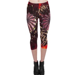 Ornamental Poppies Half Rosette Plant Capri Leggings  by Pakrebo