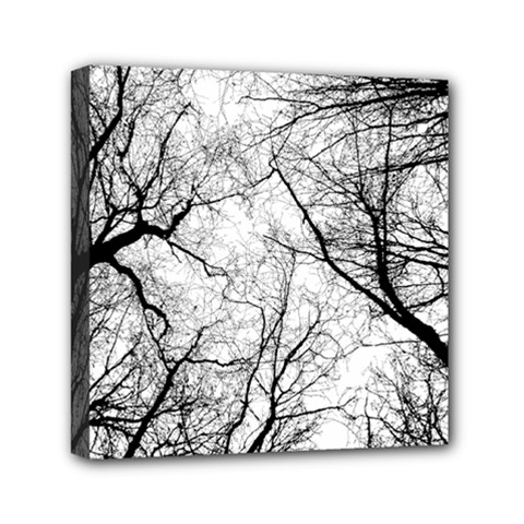 Forest Trees Silhouette Tree Mini Canvas 6  X 6  (stretched) by Pakrebo