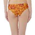 Background Triangle Circle Abstract Hipster Bikini Bottoms View2