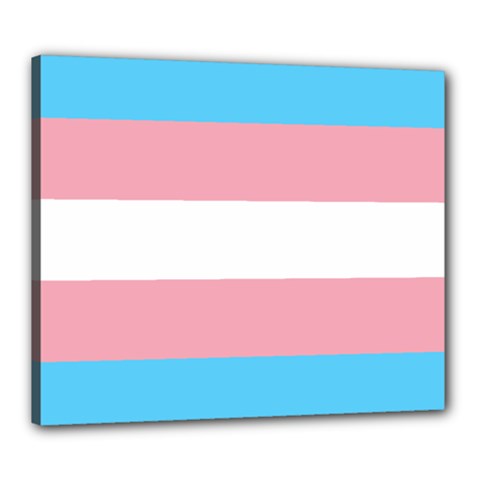 Transgender Pride Flag Canvas 24  X 20  (stretched) by lgbtnation