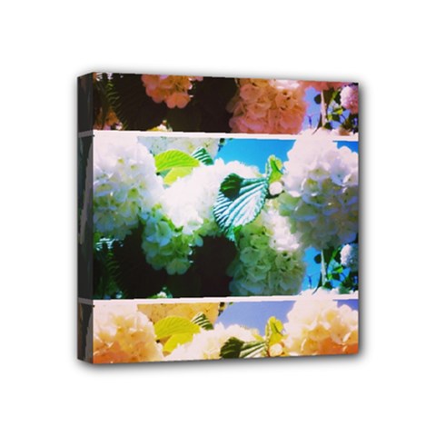 Bright Snowball Branch Collage (iii) Mini Canvas 4  X 4  (stretched) by okhismakingart