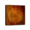 Orange Warm Hues Fractal Chaos Mini Canvas 4  x 4  (Stretched) View1