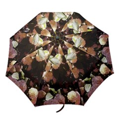 Pink Snowballs Ii Folding Umbrellas by okhismakingart