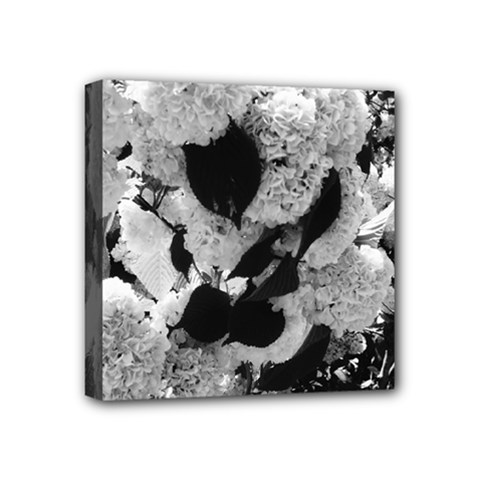 Black And White Snowballs Mini Canvas 4  X 4  (stretched) by okhismakingart