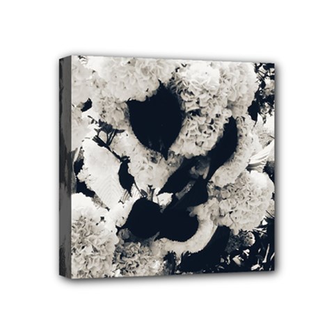 High Contrast Black And White Snowballs Mini Canvas 4  X 4  (stretched) by okhismakingart
