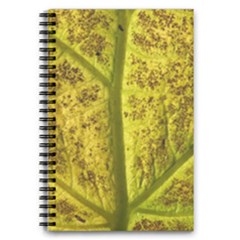 Leaf Structure Texture Background 5 5  X 8 5  Notebook by Pakrebo