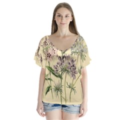 Botanical Print Antique Flora Plant V-neck Flutter Sleeve Top by Pakrebo