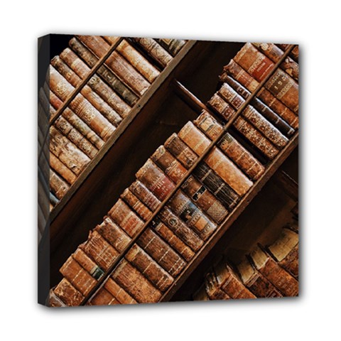 Books Bookshelf Classic Collection Mini Canvas 8  X 8  (stretched) by Wegoenart