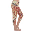 Pop Art Paisley Flowers Ornaments Multicolored 4 Lightweight Velour Capri Yoga Leggings View3
