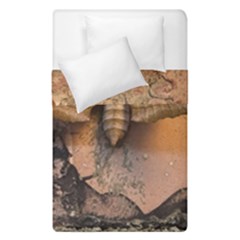 Night Moth Duvet Cover Double Side (single Size) by Riverwoman