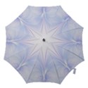 Flowerpetal1 Hook Handle Umbrellas (Small) View1