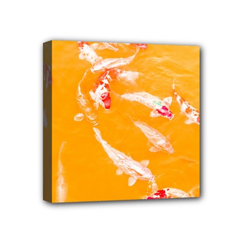 Koi Carp Scape Mini Canvas 4  X 4  (stretched) by essentialimage